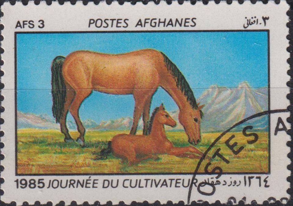 JOURNEE DU CULTIVATEUR